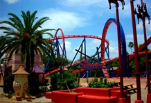 Busch Gardens Tampa